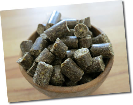 Cold pressed dog food